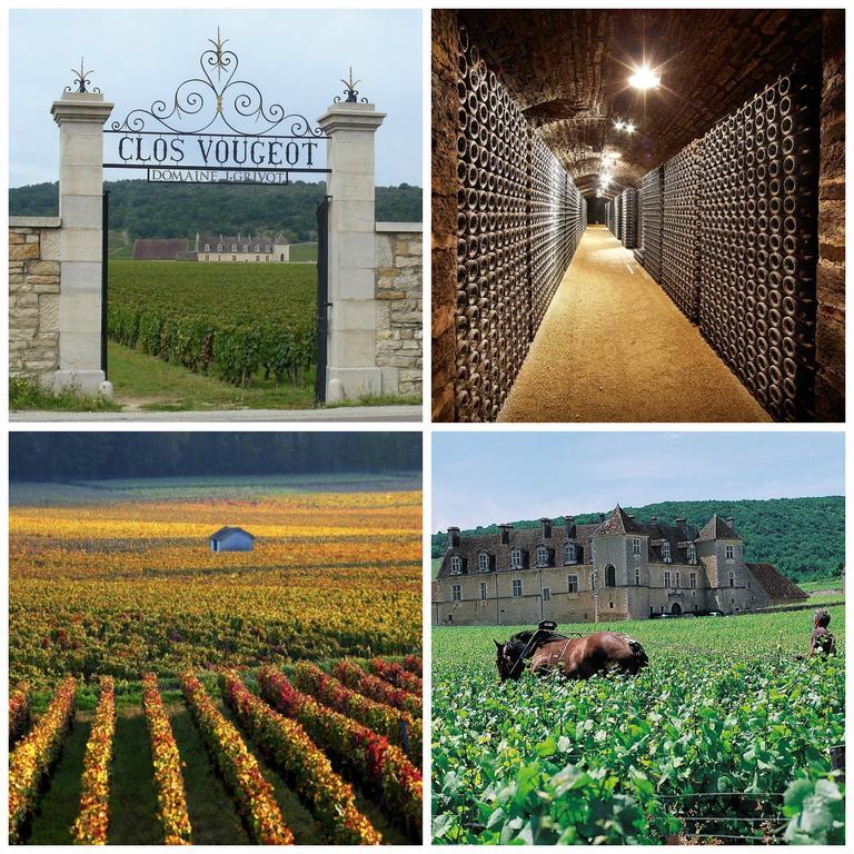 Datcha Bourguignonne Beaune Beaune (Cote d'Or) Exterior foto